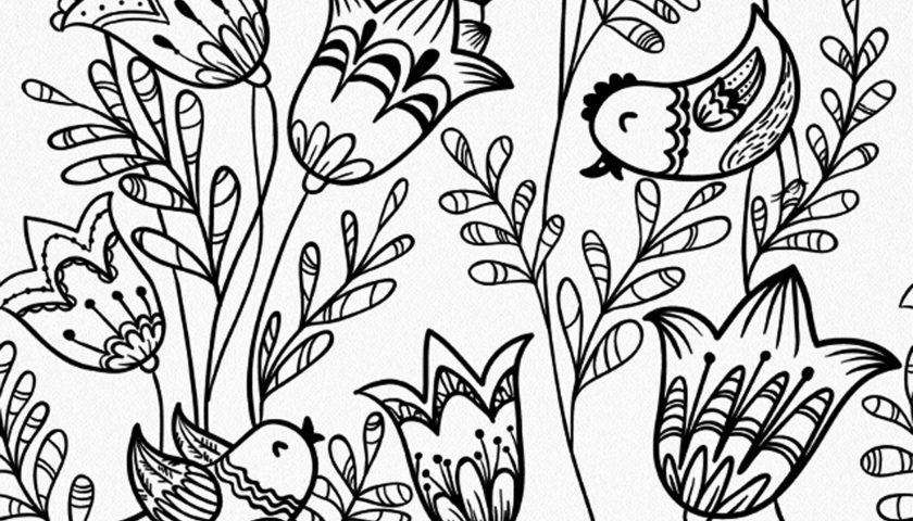 The New Coloring Book Trend
