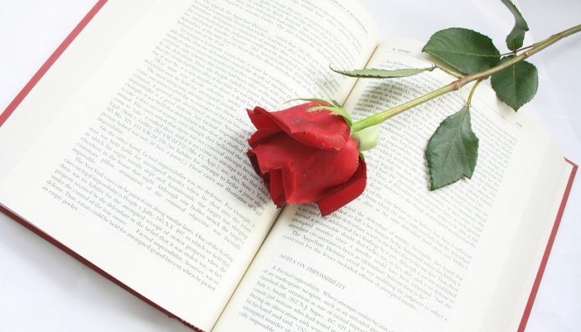 Book Club's Monthly Picks