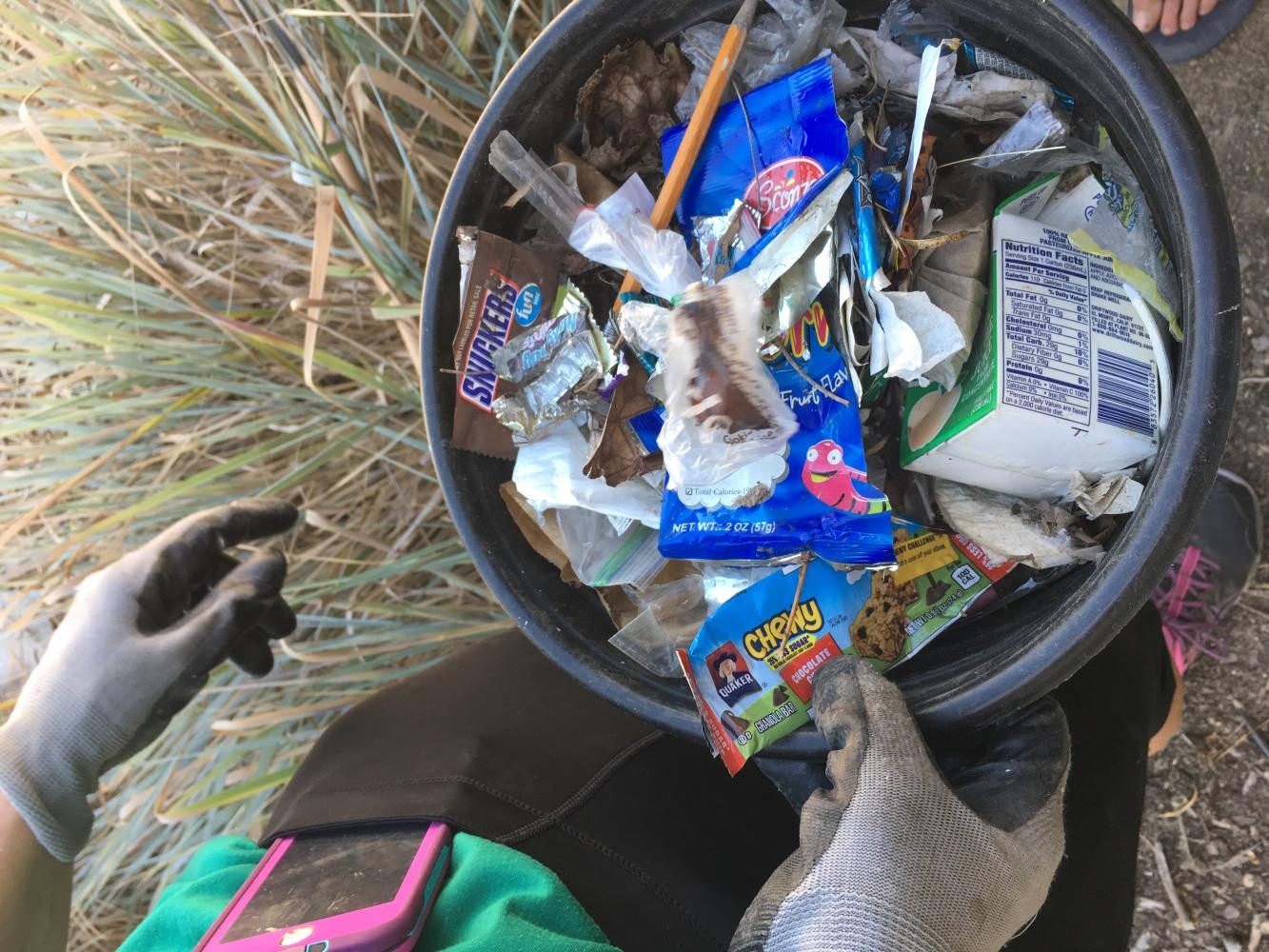 Restoring Our School Wildlife Refuge and Habitat