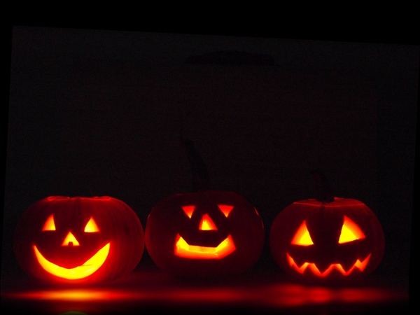 Every year people dress up, go trick-or-treating, go to haunted houses, and carve pumpkins on Halloween.
