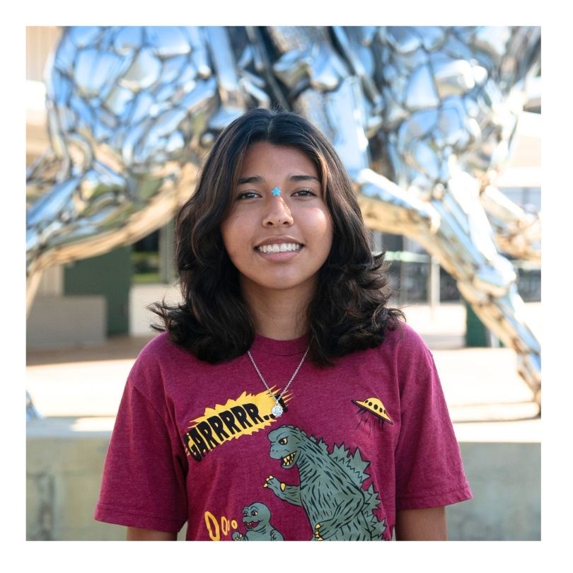 Julia Pineda-Dominguez