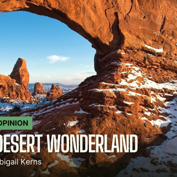 Desert Wonderland